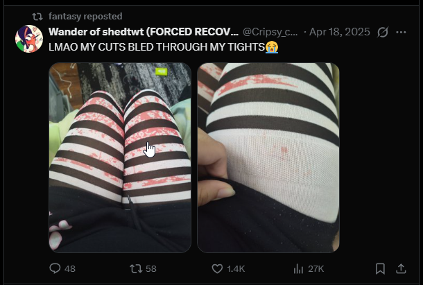 FallacyHunter tweet media