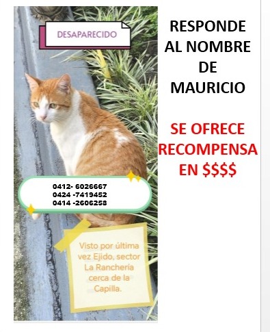 SOS Fauna Mérida tweet media