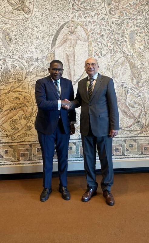 African Union Mission to the UN tweet media