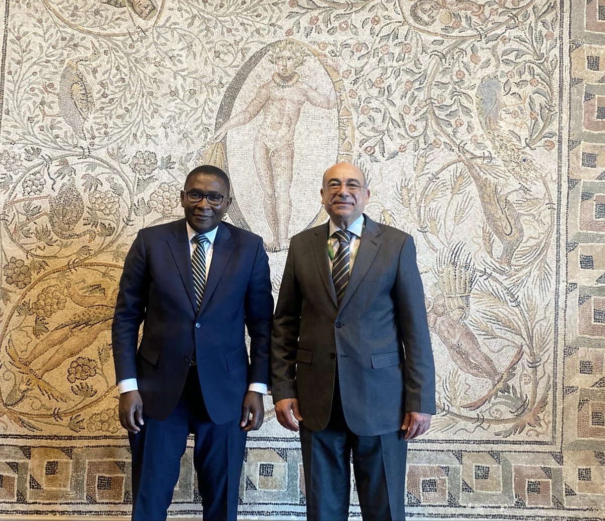 African Union Mission to the UN tweet media