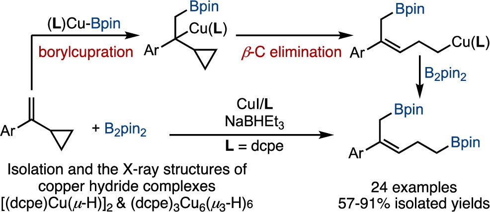 Boron_Chemistry's tweet photo. Selective Copper-Catalyzed Ring-Opening Diborylation of Vinylcyclopropanes: Scope and Catalyst Activation through Copper Hydride ( @ACSCatalysis ): https://t.co/wXhmvILmVg. https://t.co/Fc2PkhfUdP