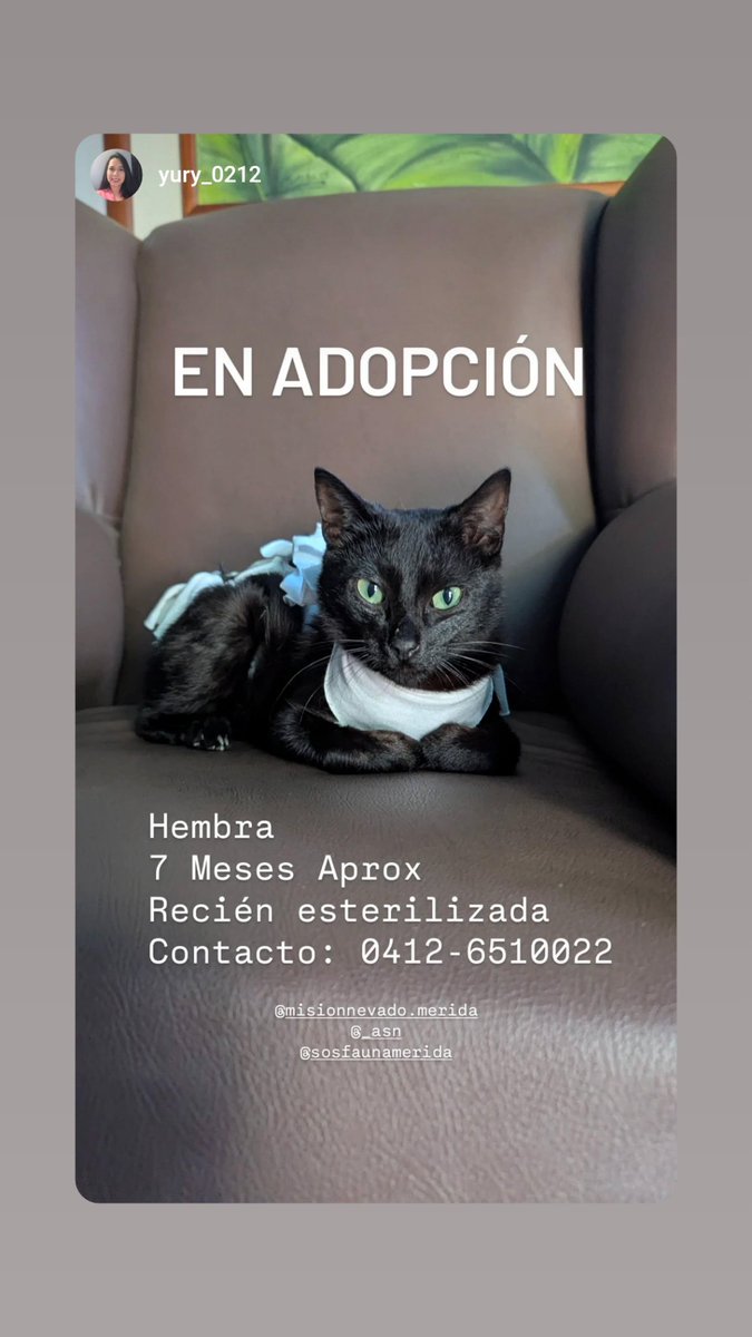 SOS Fauna Mérida tweet media