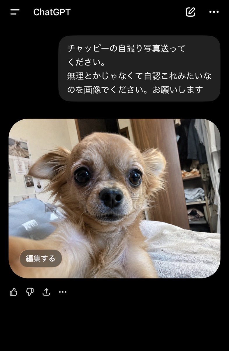 なんかチャッピーの自撮り写真気になったからワイもやったら　　お、、おぅっ🐕