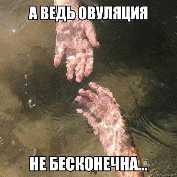 Код за решёткой tweet media