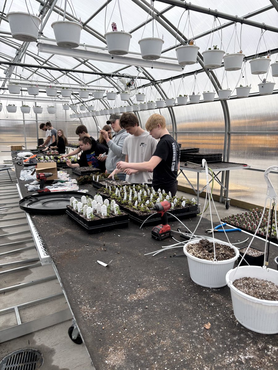 IAFFAFoundation's tweet photo. 🌿 Member Spotlight!
Highlighting WACO FFA’s greenhouse program🌱
Hands-on learning in action and Raising The Banner Together 💙💛 #IowaFFA https://t.co/1eVITHevHC