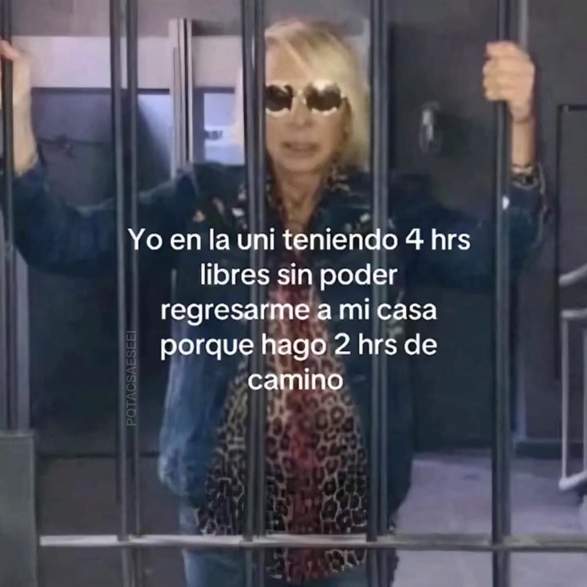 yo qué sé tweet media