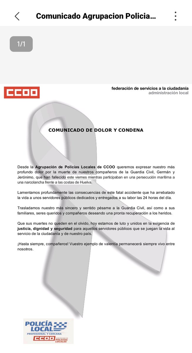 Federación de Servicios a la Ciudadanía CCOO RM tweet media