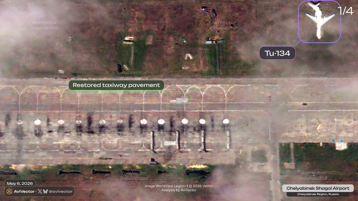 AviVector tweet media