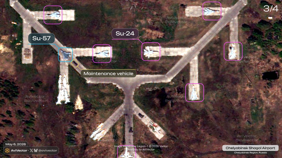 AviVector tweet media