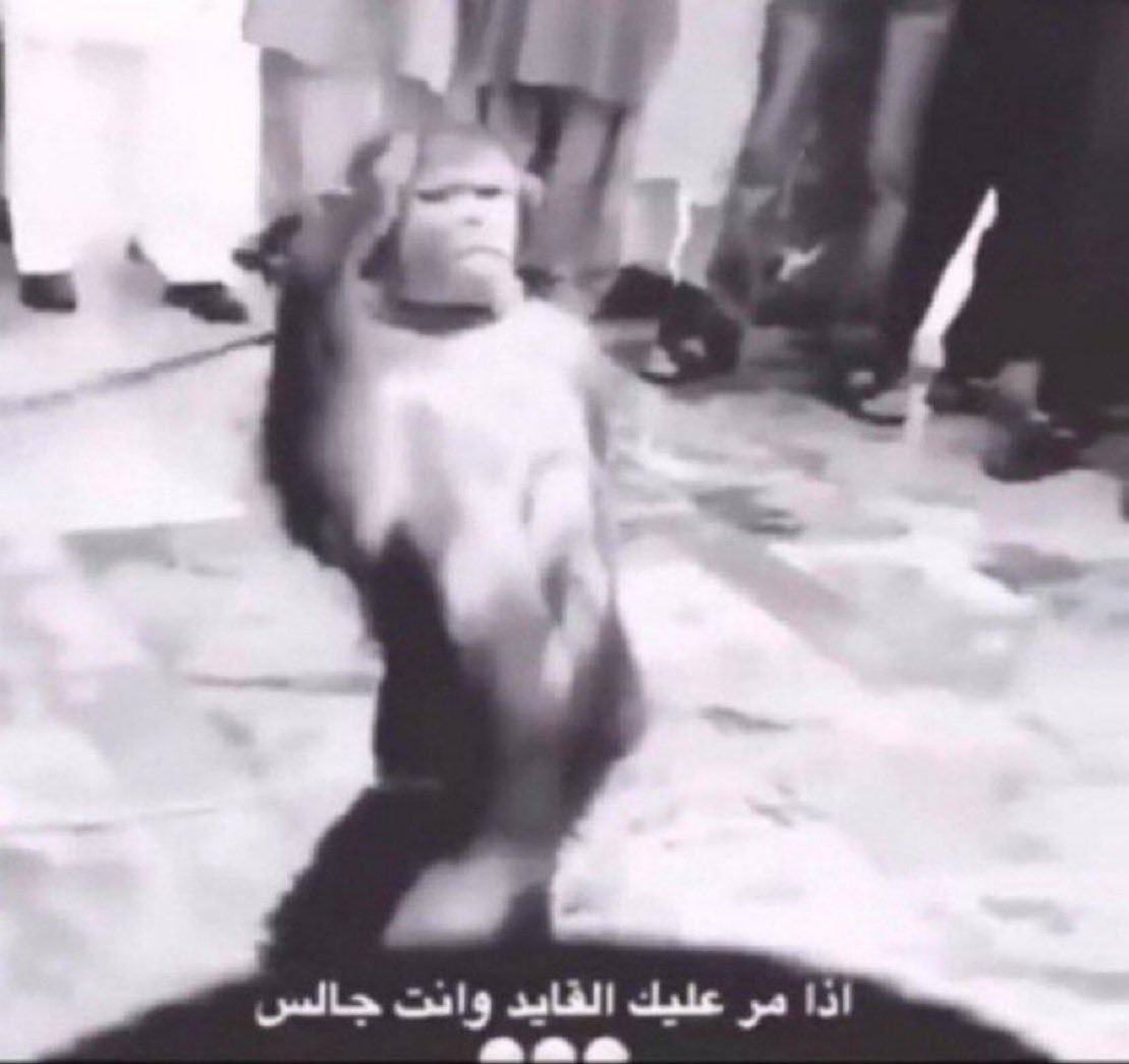 عبدالرحمن tweet media