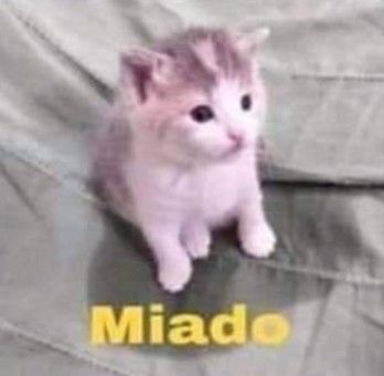 BLESITO01_VT🐸🍀 tweet media