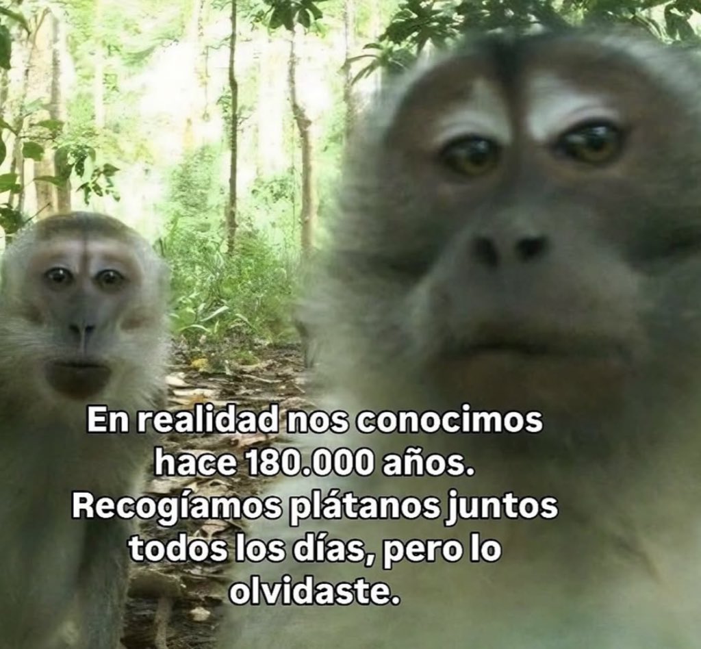 yo qué sé tweet media
