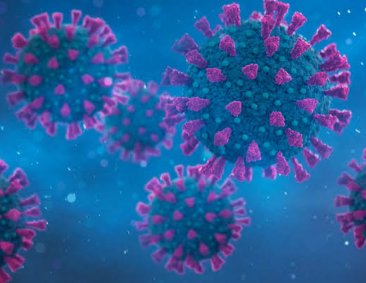 A virus that originates from rats. ☠️☠️

1. Hantavirus
2.Leptospirosis 
3.Lymphocytic Choriomeningitis
4.Rat Bite Fever