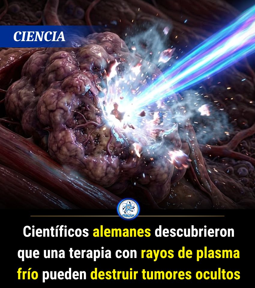 EnsedeCiencia's tweet photo. https://t.co/yKtbTTnKZi