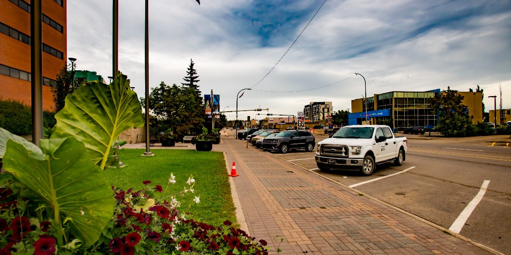 rmwoodbuffalo tweet media