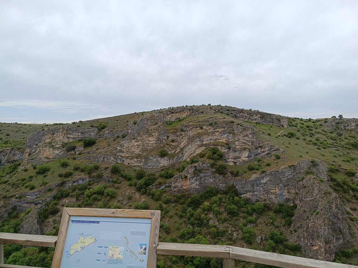 dicsytig's tweet photo. Paisajes, Geología, Botánica,... recursos didácticos en #SalidaDidáctica con el futuro profesorado de secundaria #MasterFormacionProfesorado @FacEducacionUAH #Pelegrina #FelixRodriguezdelaFuente https://t.co/cPHGINTI5A