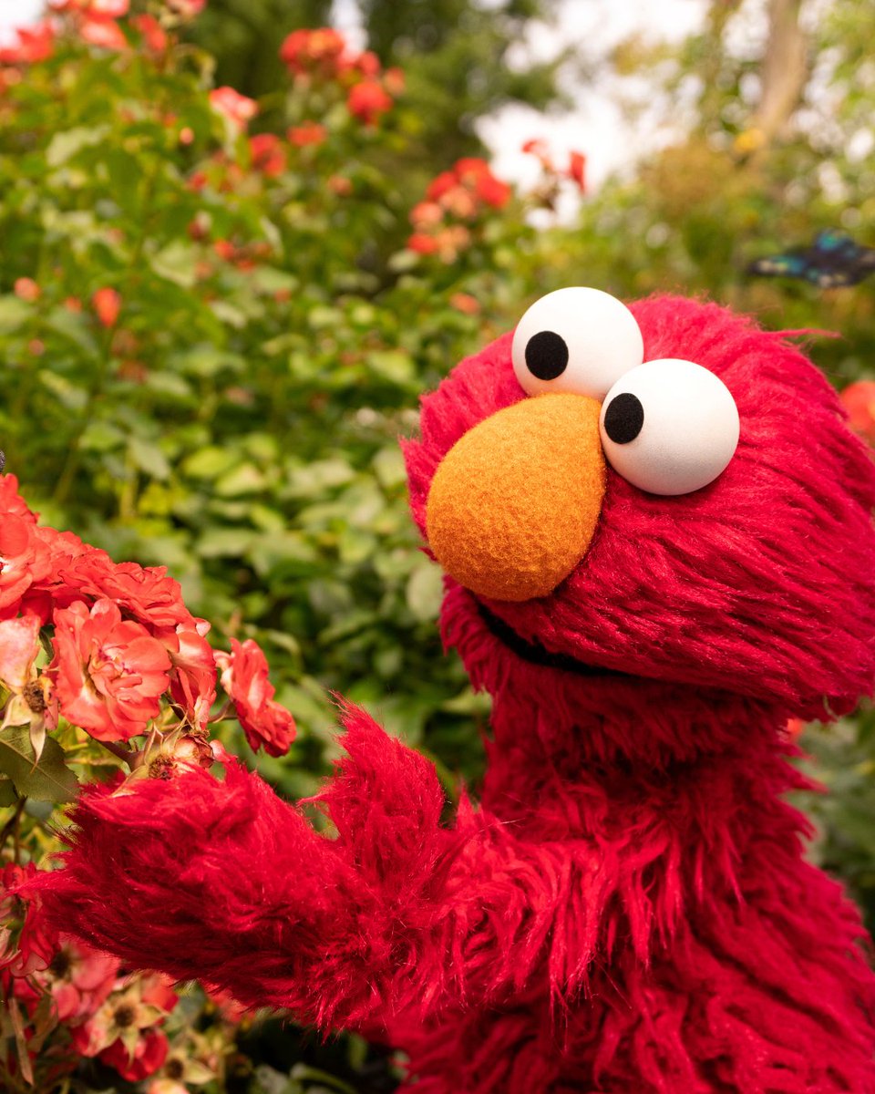 Sesame Street tweet media