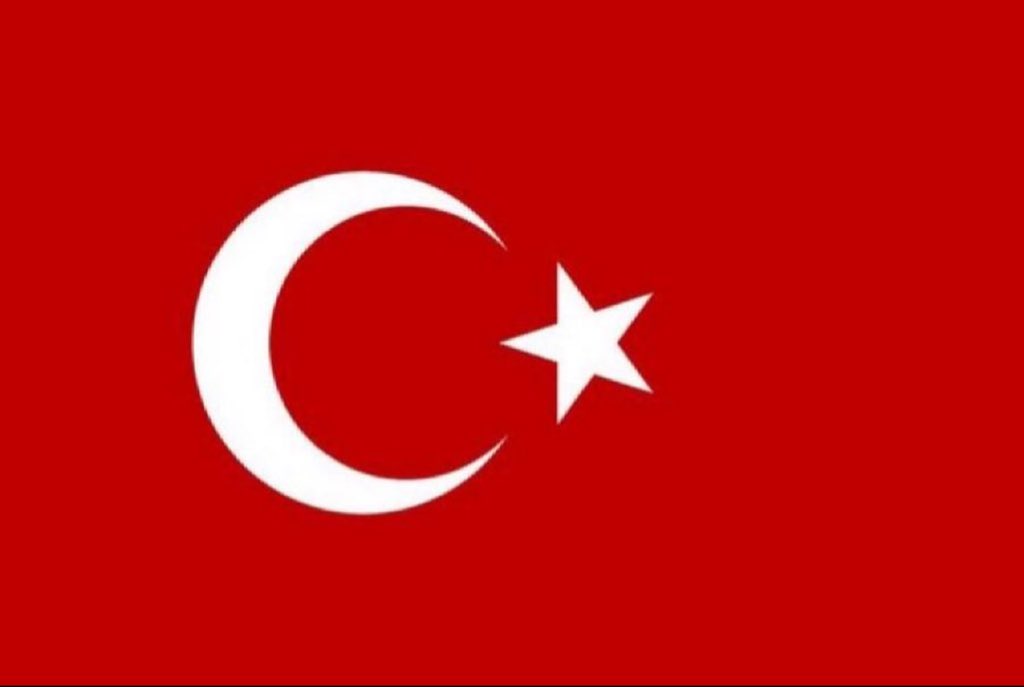 Gökçe Katun tweet media