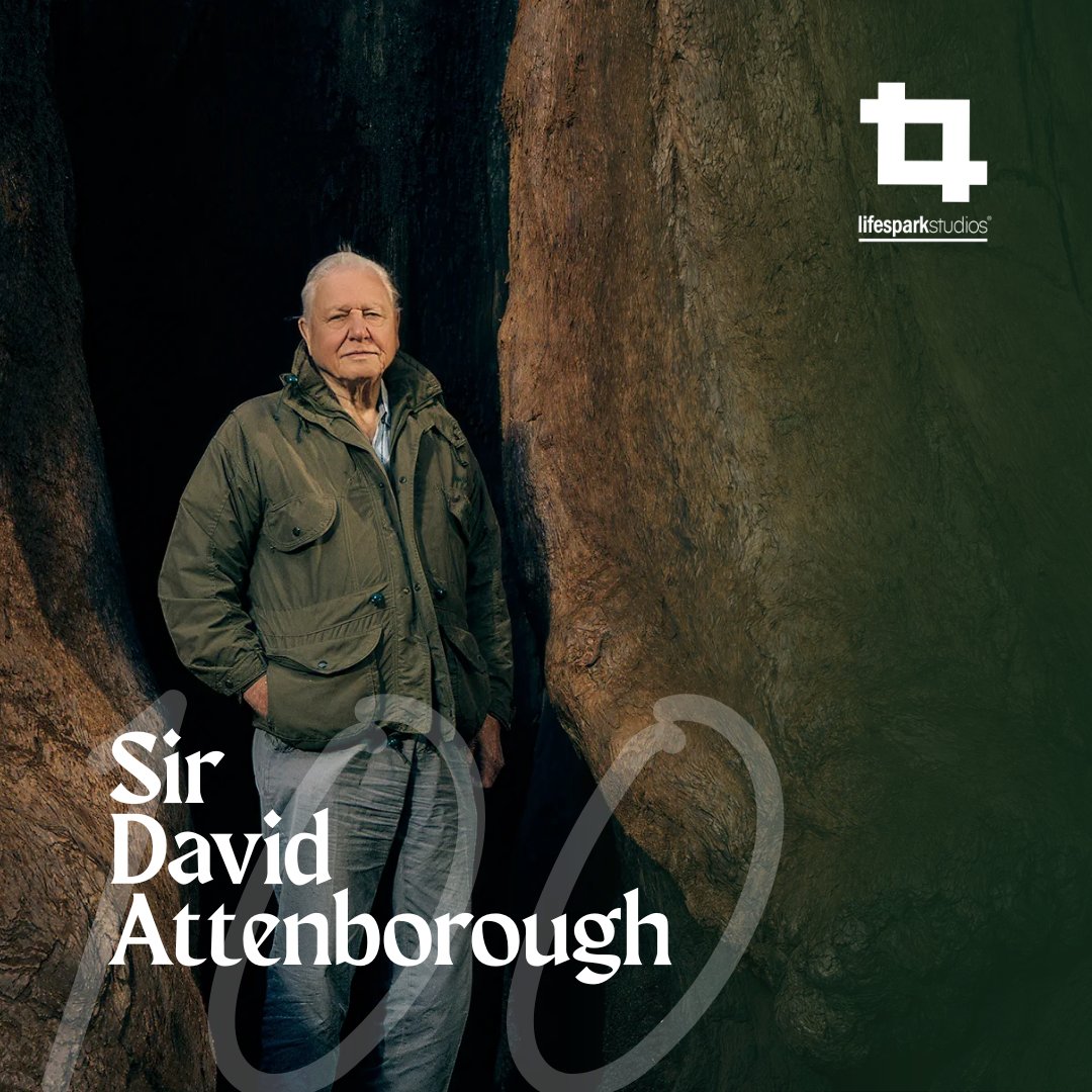 lifesparkke's tweet photo. A true friend of the planet, Sir David Attenborough turns 100 today 🌍

For generations, his voice, work, and storytelling have inspired the world to see and protect life on earth.

A living inspiration 💫

#DavidAttenborough https://t.co/9Ws9sqWkHi