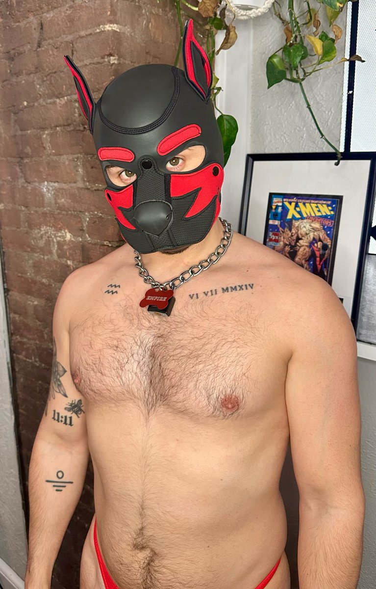 thepupempire's tweet photo. I’m alive - the plant behind me… not so much. 

I after almost getting Regina George’d on my bike, I had a super busy few weeks at work. Ready to pup out again!!

#pupplay #puphood #pupgear #musclepup https://t.co/I1NWRiRu8s
