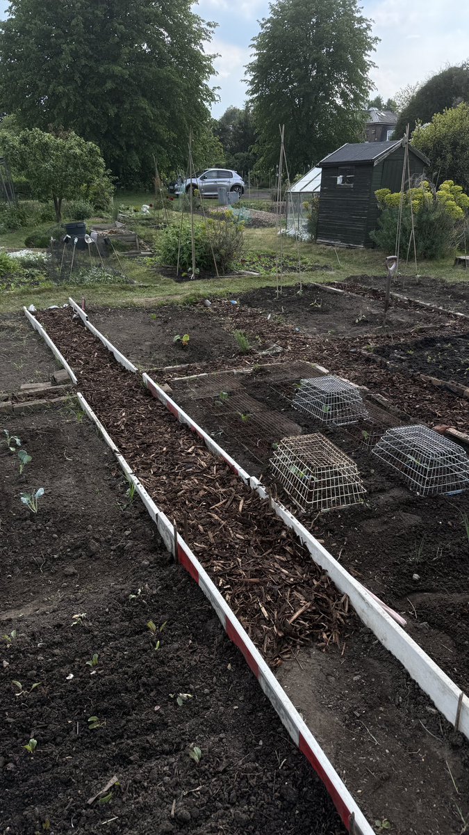 itsleod_'s tweet photo. A day of planting and path laying! https://t.co/lX40lYjihM