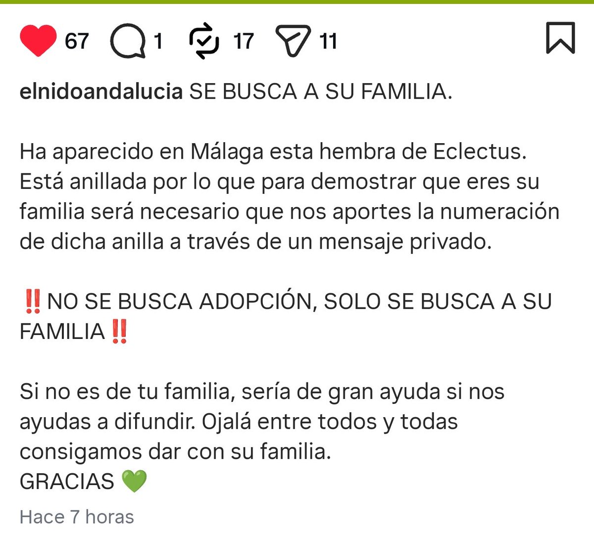 🐸 PePiTA GrILLa🐸 tweet media