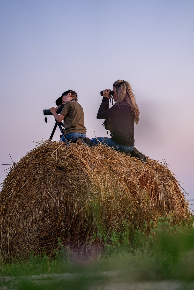 Vortex Optics tweet media