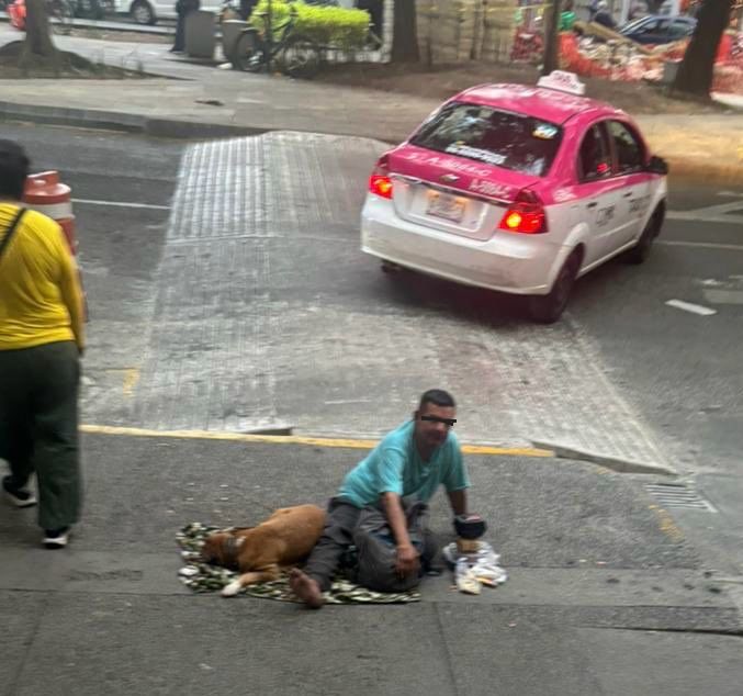 RefugiOceaniCAN's tweet photo. Amigos, necesitamos sus ojos y su voz 🙏🏼🐾

En #ParqueDelta hay un caso que nos rompe el corazón y nos preocupa a todos:

Un señor en situación de calle pide dinero con un perrito. El problema: el perrito SIEMPRE está dormido, como sedado. Un animal sano no se la pasa inconsciente todo el día. Tememos que le estén dando algo para que no se mueva.

Además, vecinas reportan que ha acosado mujeres en la zona. De día anda descalzo, de noche se pone tenis. Es un hombre blanco y dice ser extranjero, aunque también se ha reportado un perrito similar con otro hombre más moreno.

Esto no es juzgar a nadie por estar en la calle.  
Esto es proteger a un ser que no tiene voz y cuidar a nuestras vecinas.

¿QUÉ PEDIMOS?
A las autoridades @SSC_CDMX @PAOTmx @AgatanCdmx: Por favor vayan, revisen al perrito con un veterinario y garanticen la seguridad de todos. El maltrato animal YA es delito en CDMX.

A ustedes: Si lo ven, no lo confronten. Tomen video/foto de lejos y reporten:  
   📞 911  
   📞 PAOT: 55 5265 0780  
   📞 Consejo Ciudadano: 55 5533 5533

Cada que compartes, alguien más se entera. Y entre más ojos, más rápido llega la ayuda.

Por el perrito. Por las mujeres. Por un Parque Delta seguro para todos.

#NoAlMaltratoAnimal #CDMX #Oceanican #VeganLawyer #likmonik