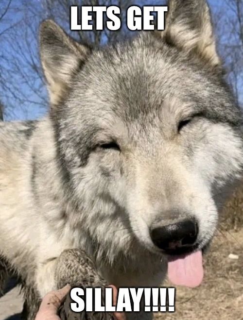 caninepoetry tweet media