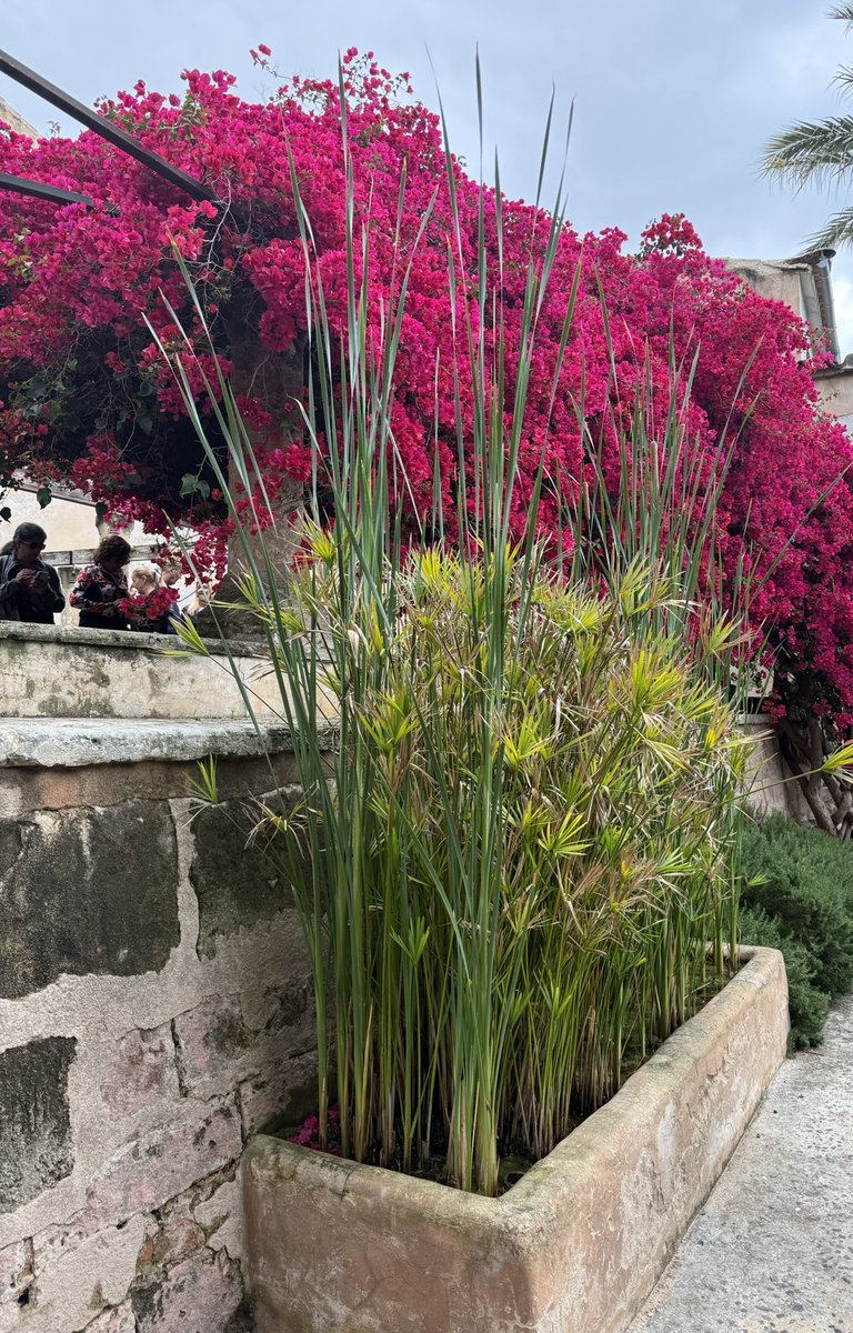 yorkshirelass57's tweet photo. #FlowersOnFriday
Goodnight
#SweetDreans https://t.co/Ngju6OiKCQ