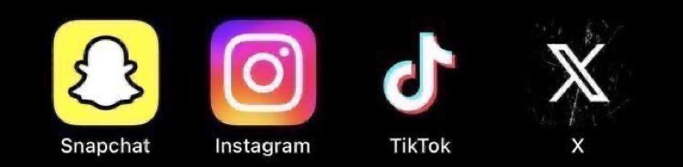 𓅓 tweet media