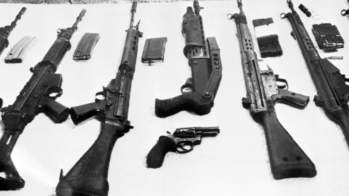 PeterR tweet media