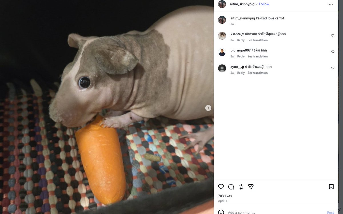 Cameron4Lz's tweet photo. Homunculus is at 120k but I literally found the owners Instagram account and the real name is Aitim

The IG post has 150k likes in 1 day, this is so giga.

Easiest vamp ever 

https://t.co/ZFOkXM6hgi

https://t.co/dB5gbCLG8G https://t.co/dSXgZtdGy2