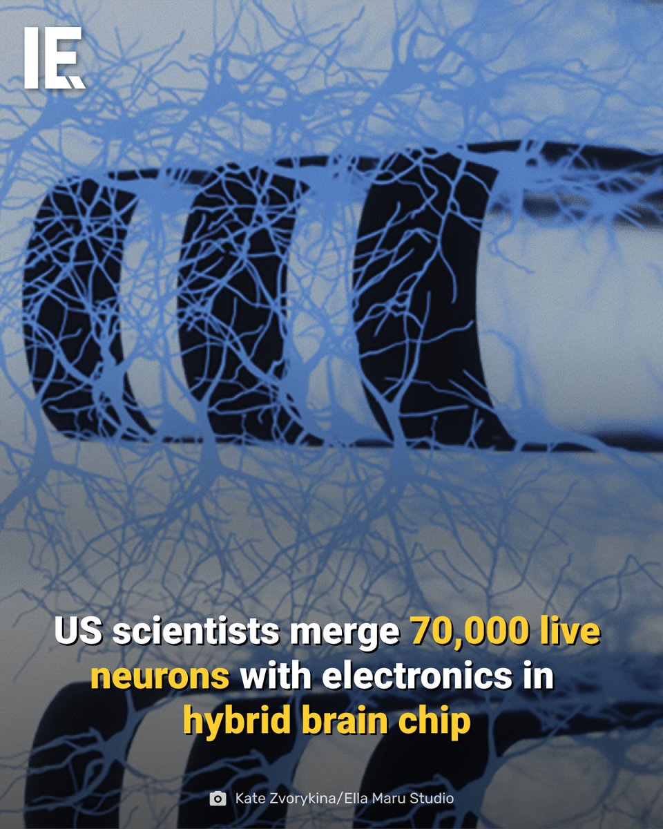 New biohybrid system merges living neurons with flexible electronics for brain-inspired AI computing. bit.ly/42o1FoJ