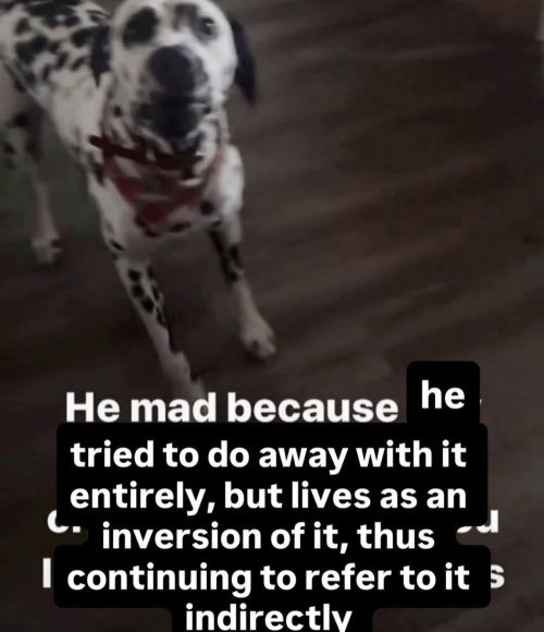 Mr. Biscuit tweet media