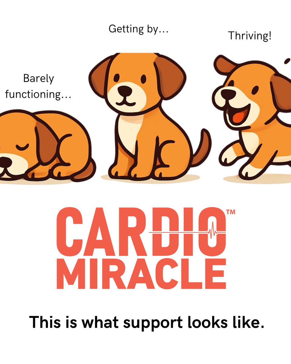 Cardio Miracle tweet media