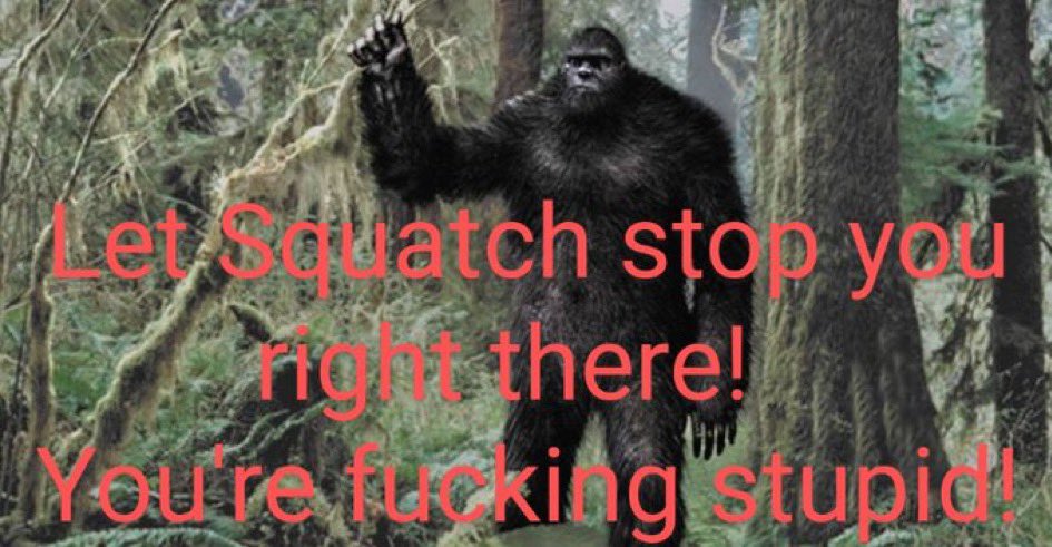 Squatch Mode Patriot 🇺🇸 tweet media