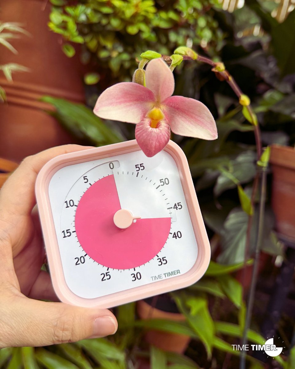 Time Timer tweet media
