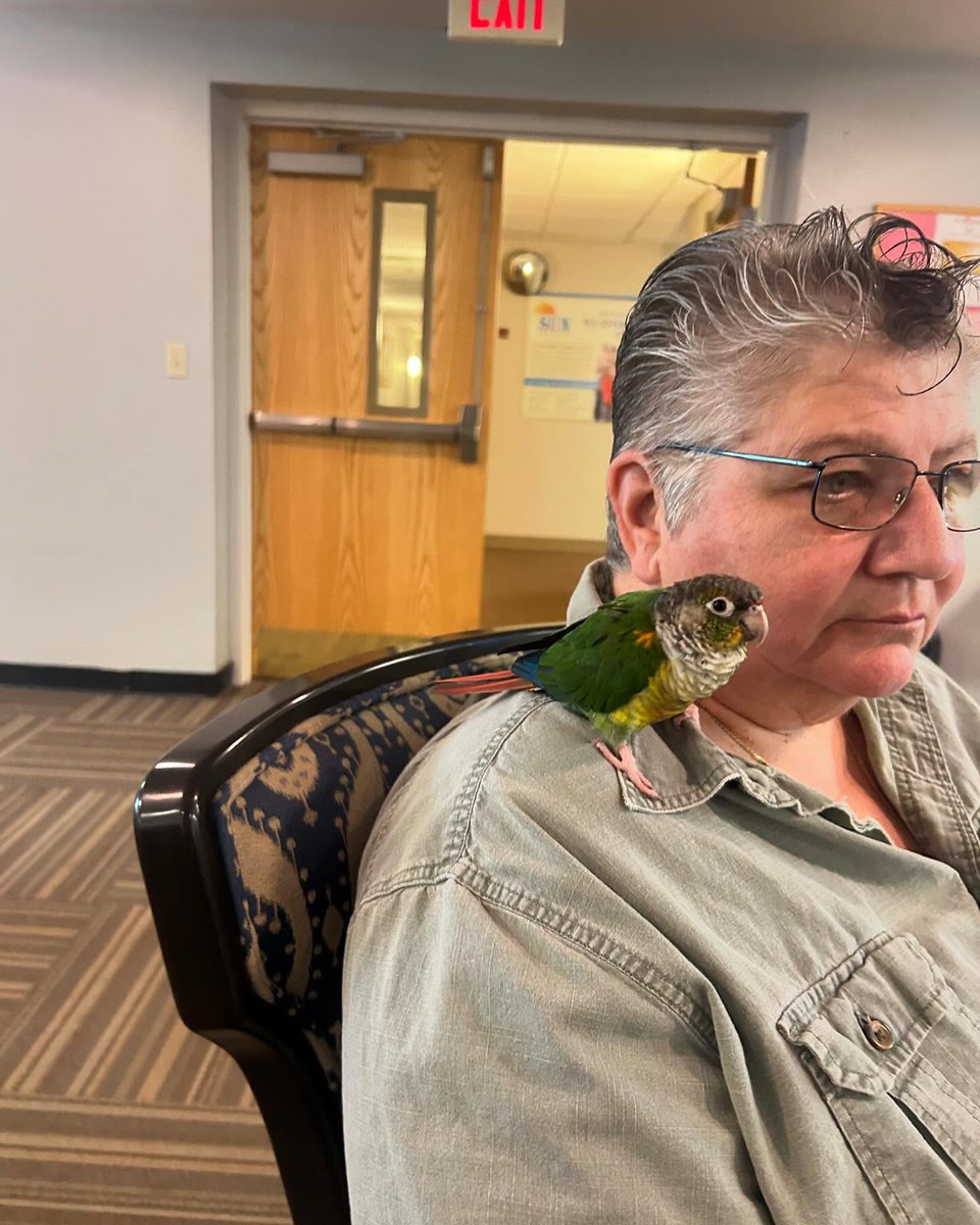 WallkillLivingC's tweet photo. At Wallkill Living Center, pets are family too! 🐾💚

Our pet-friendly community is full of comfort, companionship, and personality.

Interested in learning more? Visit https://t.co/8ZB6NfEwnk today!

What kind of pet would make your home feel complete? 🐶🐱🐦 https://t.co/4xNPZYmzIC