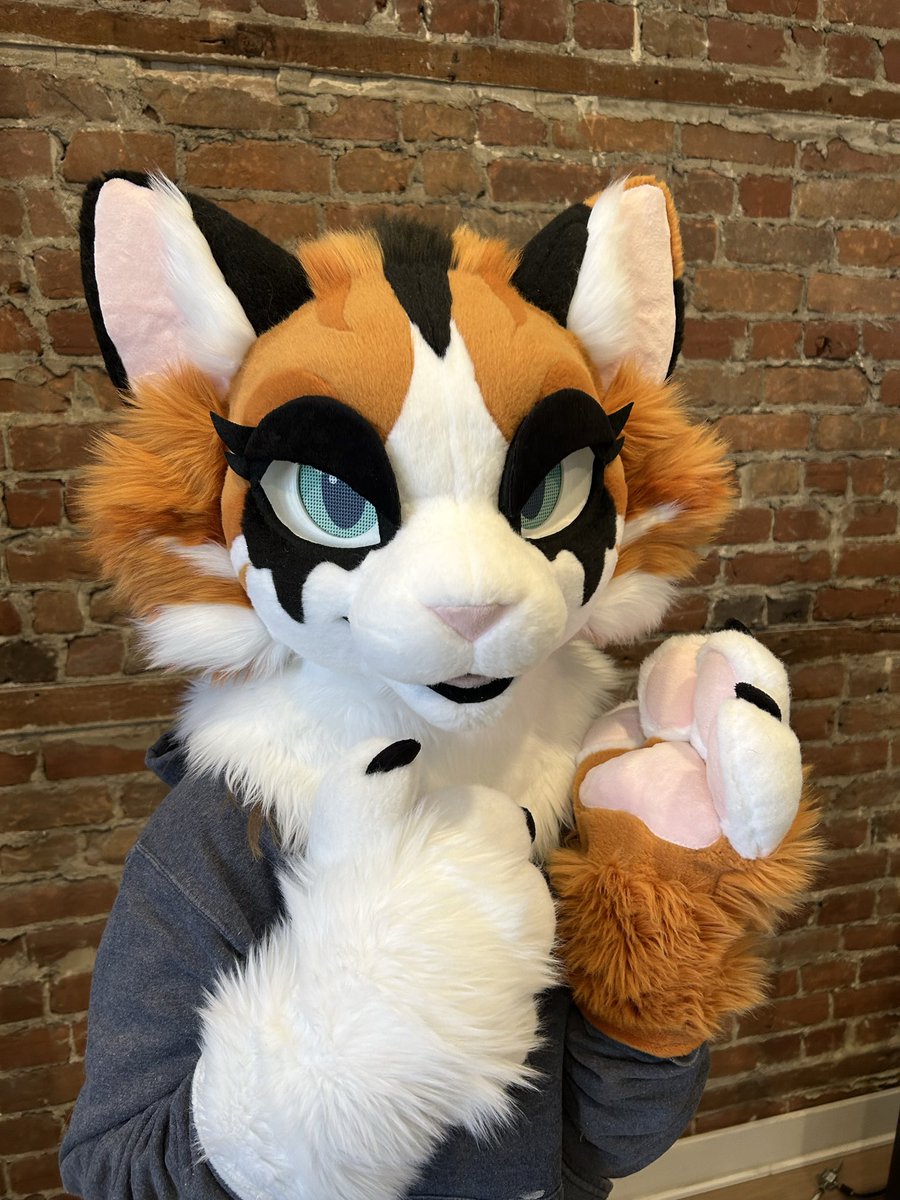 Scarlet Wings Fursuits tweet media