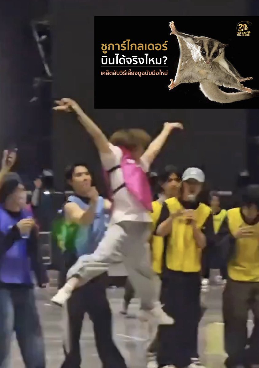 นุนิวเหมือนชูก้าไกลเดอร์ตอนกำลังจะบินอ่ะ 555555555555 🐿️ 

#NuNew