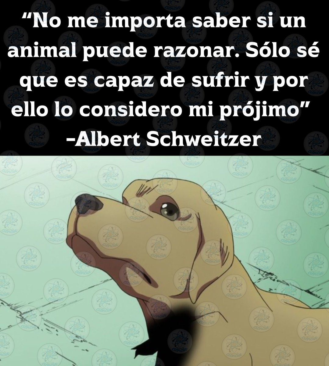 EnsedeCiencia's tweet photo. Respeta a todas las formas de vida https://t.co/31LCzcJ0LL