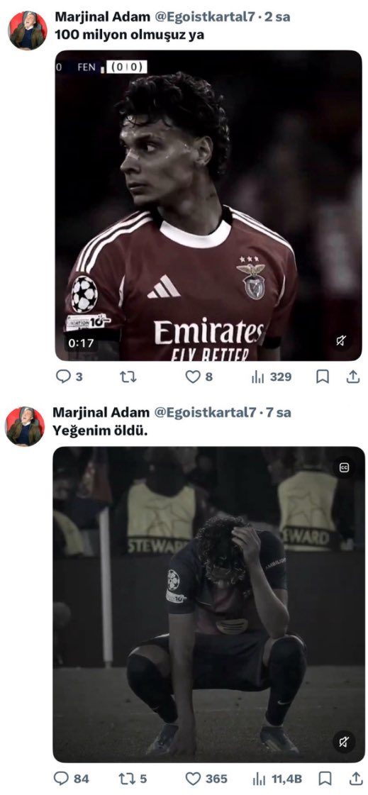 ravits #şenolyuvaya tweet media