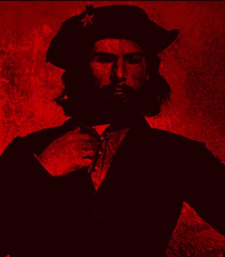 Whippoorwill Adams 🏴‍☠️ tweet media