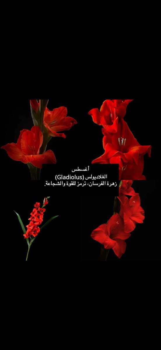 رَزان الدعيج ♥️☁️ (@eng_razanii) on Twitter photo 