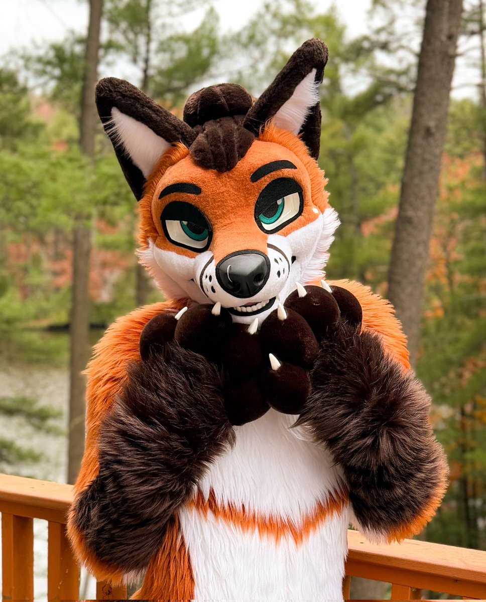 Sondyr. 🦊 tweet media