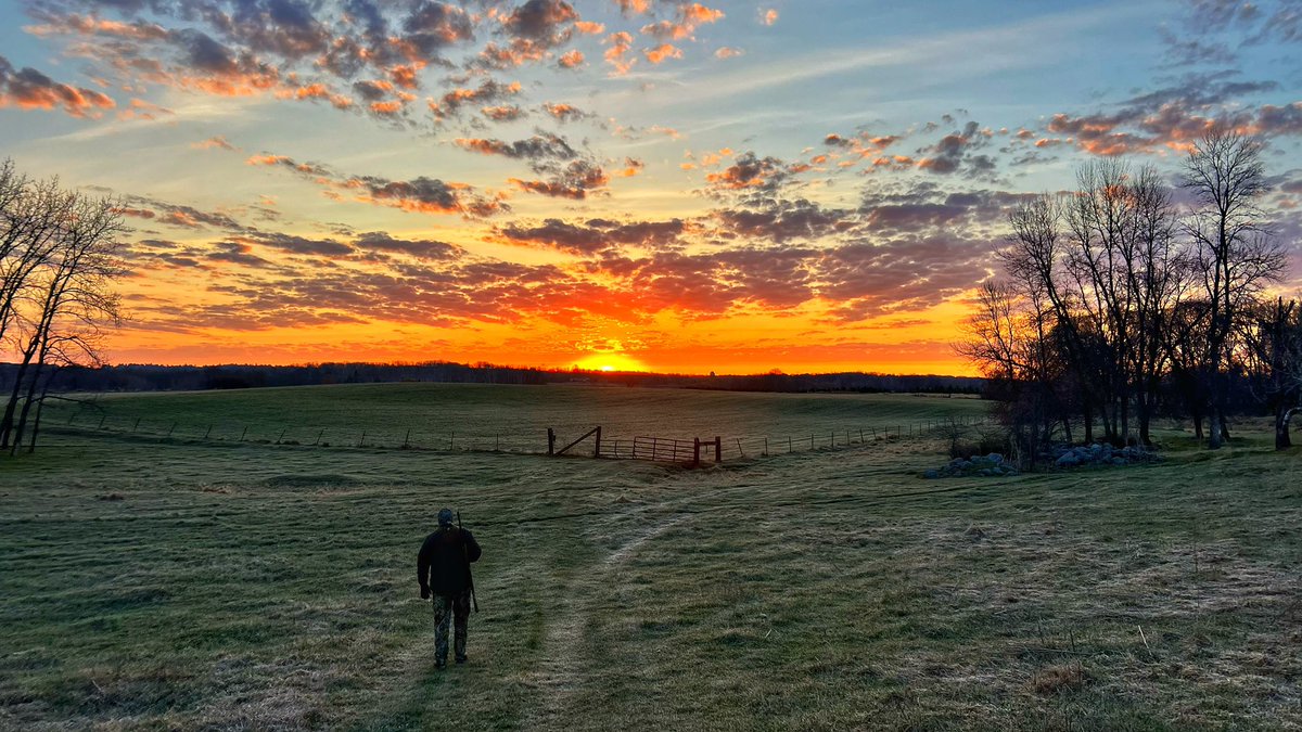 USASquatch76's tweet photo. @Jason2bartlett We are definitely blessed! https://t.co/ipFMPDAeg2