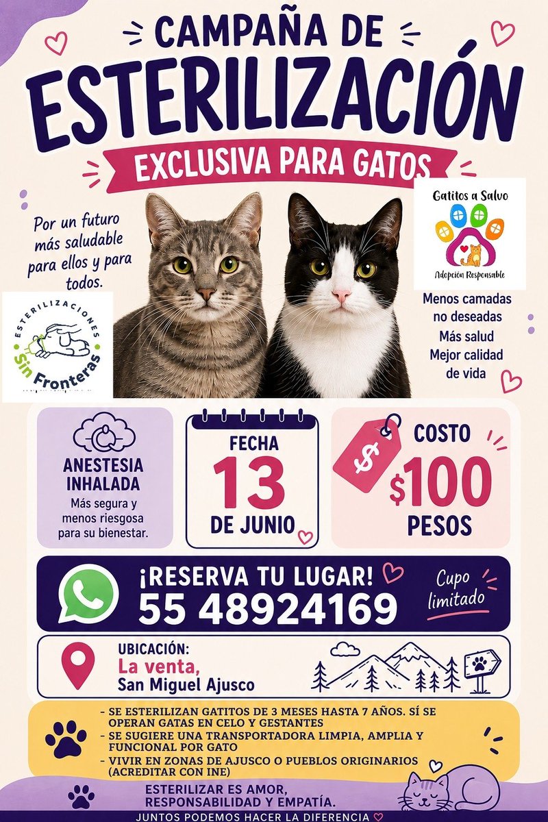 🐾🐾Gatitos a salvo🐾🐾 tweet media