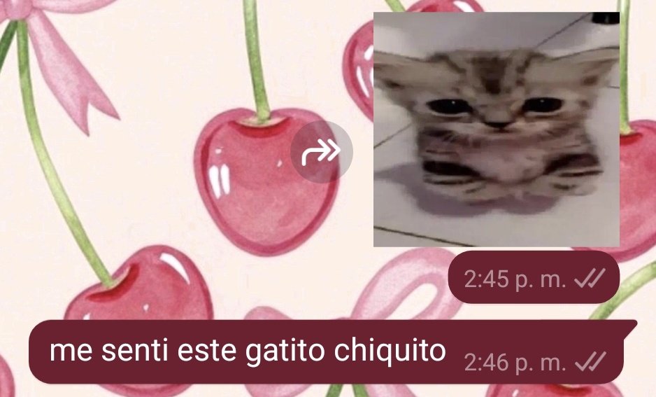 Soy literalmente ese