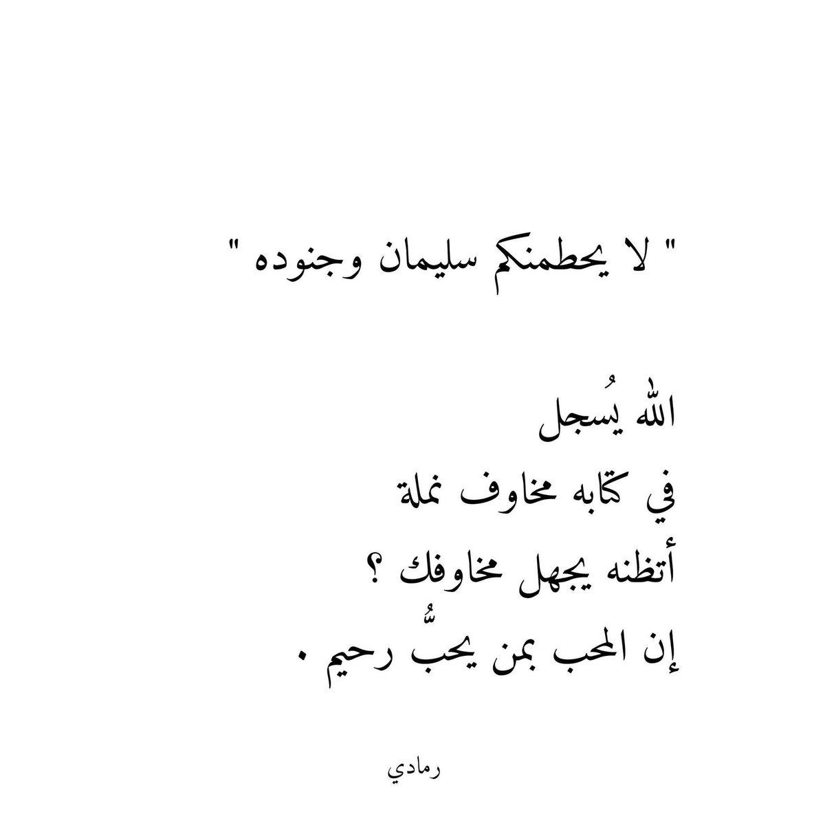 𝒮𝑜𝓅𝒽𝒾𝒶 🍷 tweet media